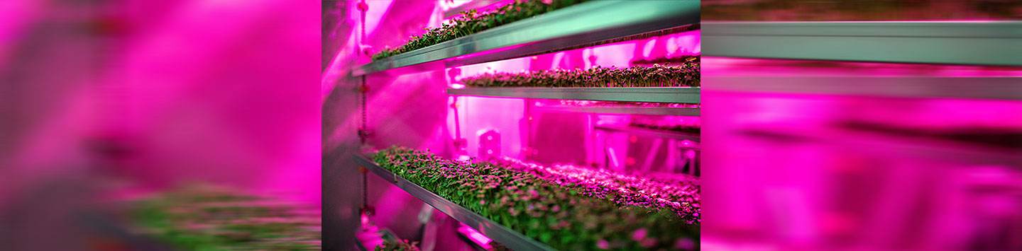 How does vertical farming help the environment image