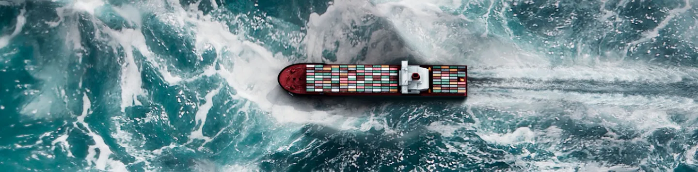 Container ship on the sea