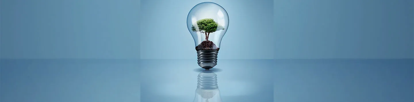 Illustration of a lightbulb with a tree inside it