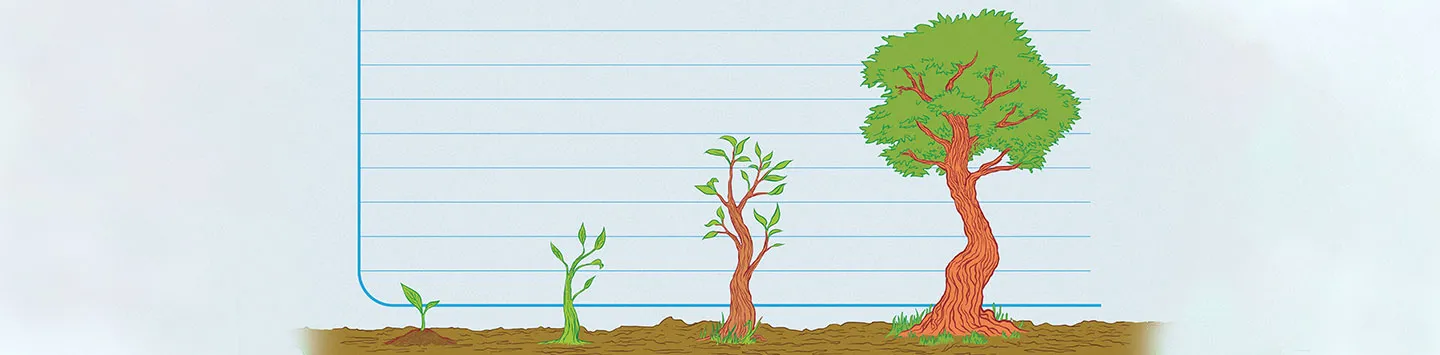 An illustration of a tree growing.