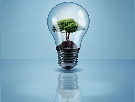 Illustration of a lightbulb with a tree inside it
