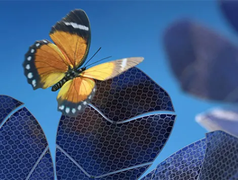 Lots of Solar Panel Flowers Generating Sustainable Energy Near Butterflies