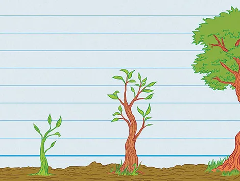 An illustration of a tree growing.